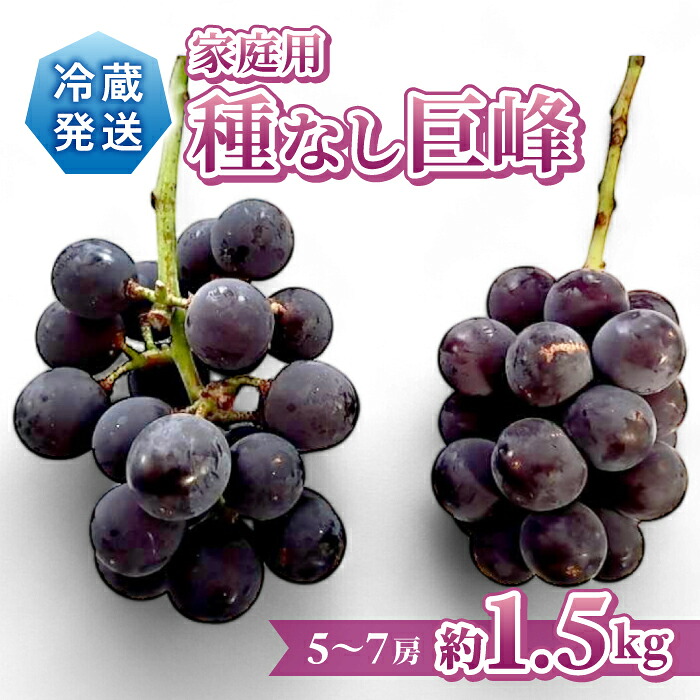 【ふるさと納税】先行受付2026年発送【Grape Farm Kodaira】家庭用種なし巨峰　約1.5kg（5～7房）※2026年9月中旬以降発送予定