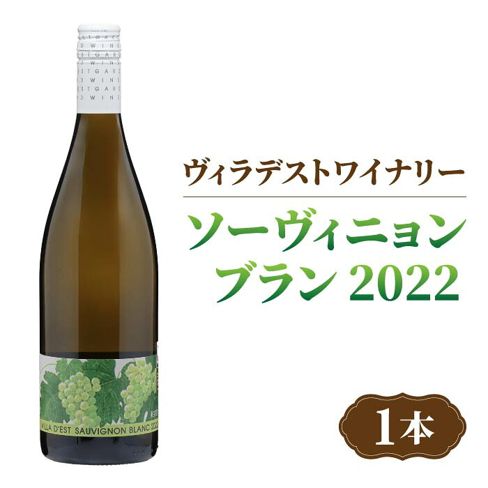【ふるさと納税】日本ワインコンクール金賞受賞！長野ワイン ソーヴィニョンブラン（白ワイン）｜【ヴィラデストワイナリー】長野 東御 日本ワイン ワイン GI長野｜長野県東御市