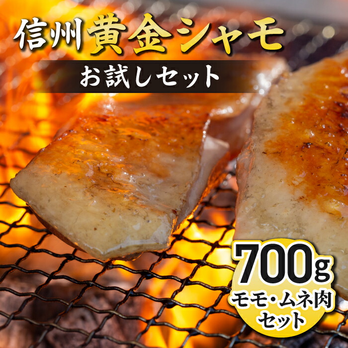 【ふるさと納税】信州黄金シャモお試しセット 鶏肉 地鶏 軍鶏 もも むね シャモ