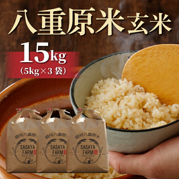 【ふるさと納税】令和7年新米予約！八重原米15kg（5kg×3袋）玄米　※2025年10月以降順次発送｜笹屋農園
