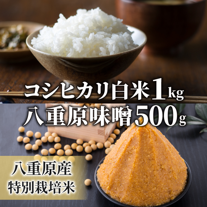 楽天市場】【６回定期便】東御市産の特別栽培米 「風さやか」10キロ