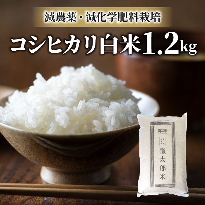 楽天市場】【６回定期便】東御市産の特別栽培米 「風さやか」10キロ