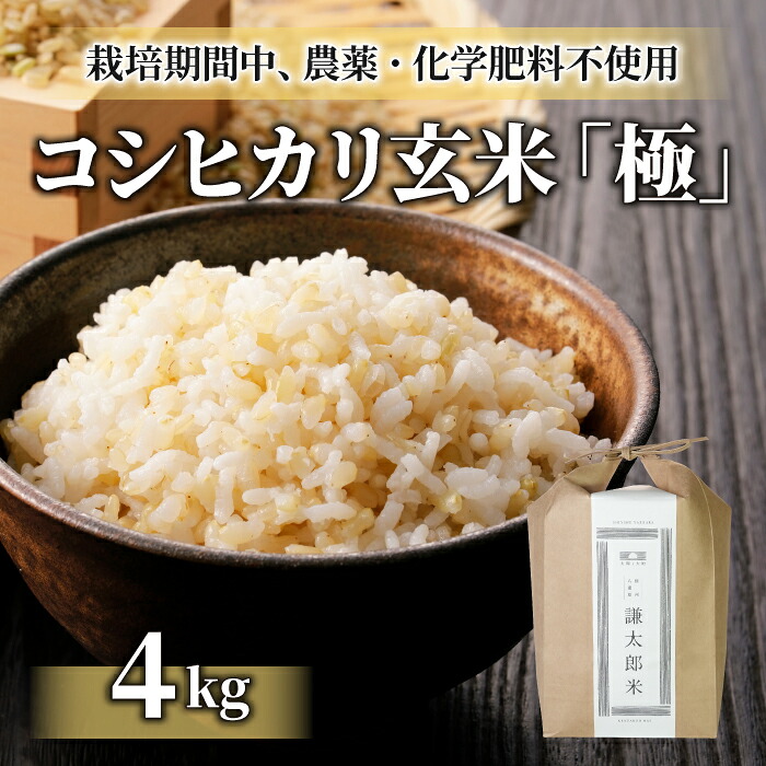 【ふるさと納税】【太陽と大地】令和7年産「八重原産コシヒカリ玄米「極」(栽培期間中農薬化学肥料不使用)4kg」|長野県東御市
