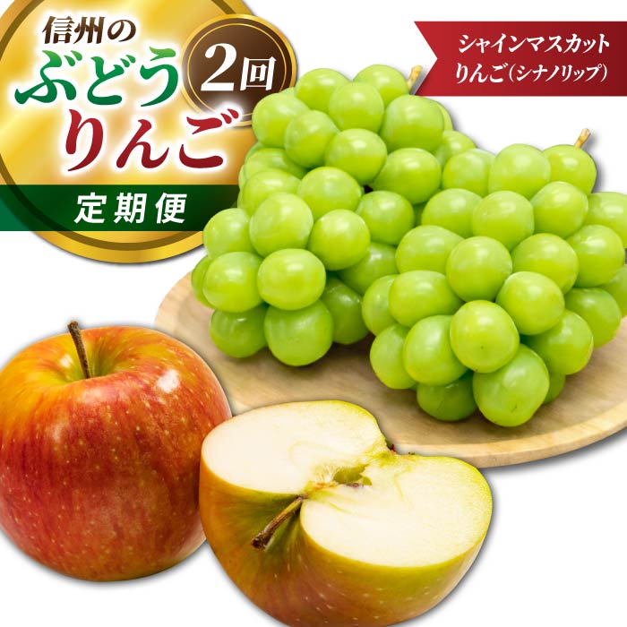 【ふるさと納税】信州のぶどう・りんご2回定期便(シナノリップ・シャインマスカット)|JA信州うえだ農業協同組合 長野県 東御市産|長野県東御市