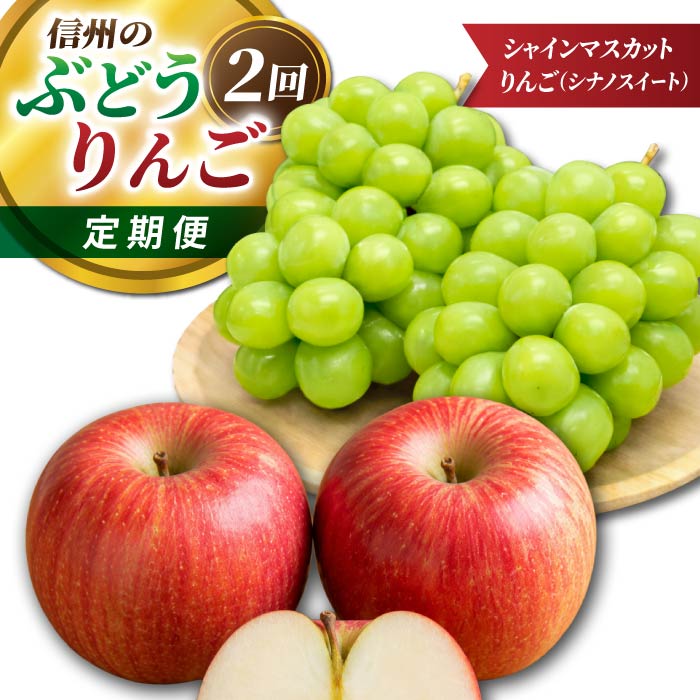 【ふるさと納税】【2回定期便】信州のぶどう・りんご（シャインマスカット・シナノスイート）｜JA信州うえだ農業協同組合 長野県 東御市産｜長野県東御市