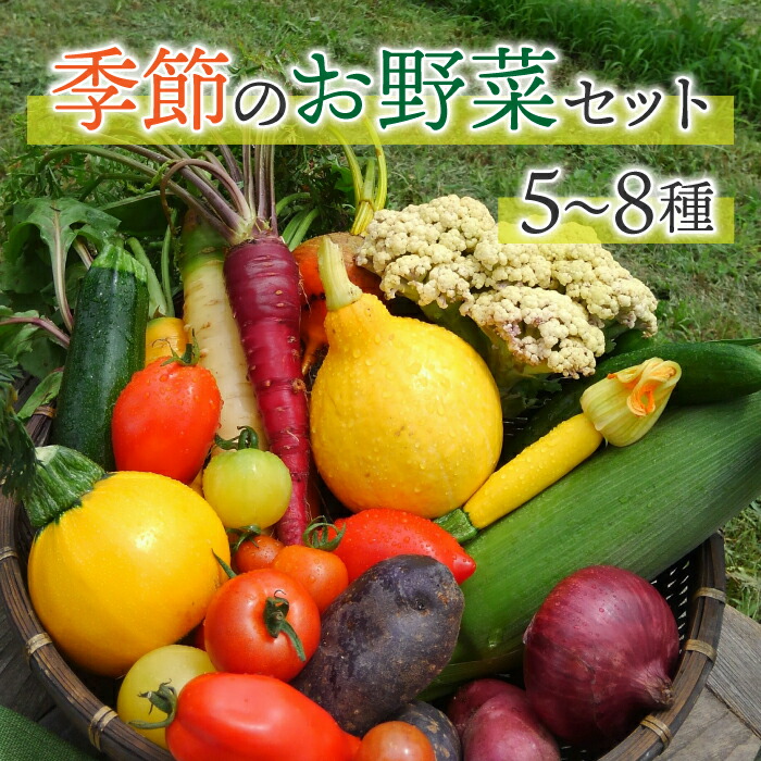 【ふるさと納税】【アグロノーム】季節のお野菜セット（２～３人様向け）