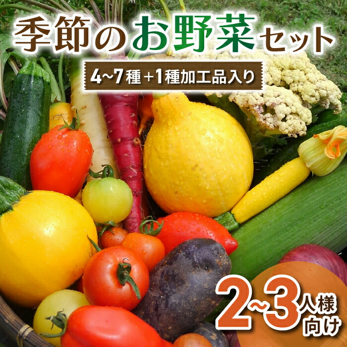 【ふるさと納税】季節のお野菜セット（２～３人様向け） アグロノーム 西洋野菜※2024年7月以降発送開始