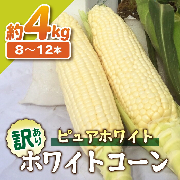 【ふるさと納税】【先行受付2025年発送】訳あり東御市産とうもろこし（ピュアホワイト）約4kg（8～12本）御牧八重原農園 | スイートコーン※2025年7月上旬頃～9月上旬頃に順次発送予定※着日指定不可