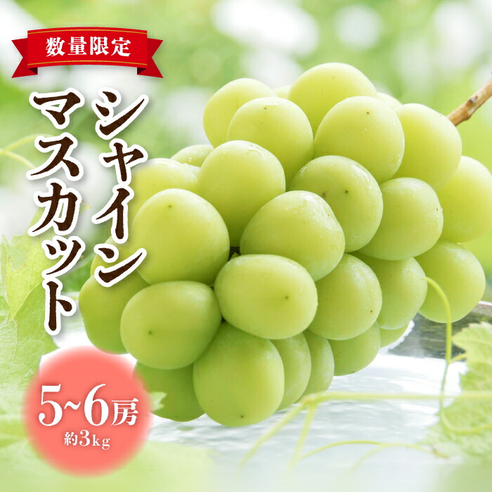 【ふるさと納税】（2025年発送先行受付）東御市産 シャインマスカット 3kg (5～6房) （9月下旬より順次発送）ぶどう 葡萄 マスカット 家庭用 お取り寄せ ギフト フルーツ 果物 甘い 美味しい 国産 信州 長野県東御市 <br>※【秋お届け】先行予約