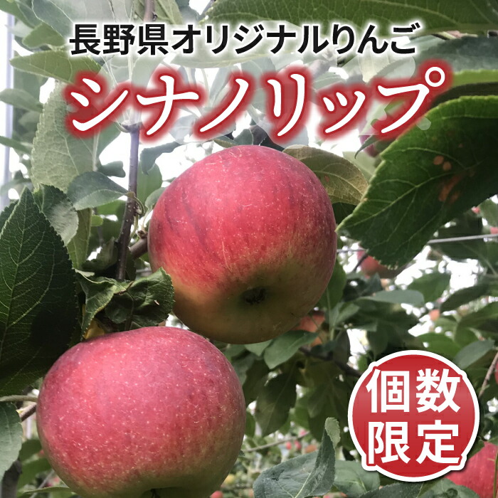 【ふるさと納税】個数限定！長野県オリジナルりんご「シナノリップ」約3kg【ひかるの畑】