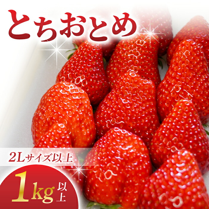 【ふるさと納税】【BERRY PLANTS FACTORY】東御市産とちおとめ１kg以上 9,490円