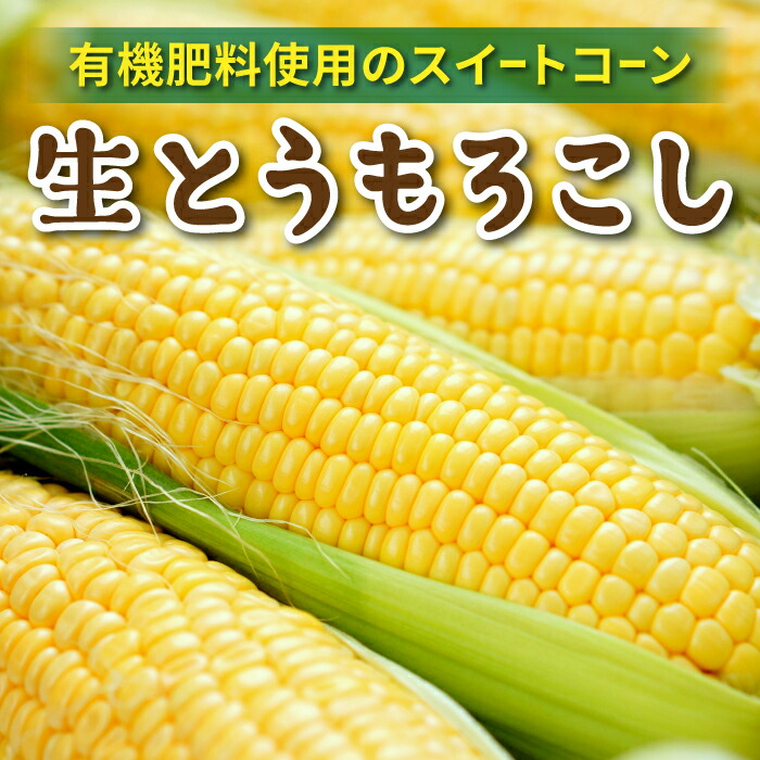 【ふるさと納税】生とうもろこし 2L 6本／8本／12本 有機肥料使用のスイートコーン！ 長野県東御市産 ※7月中旬から順次発送予定※発送曜日指定不可