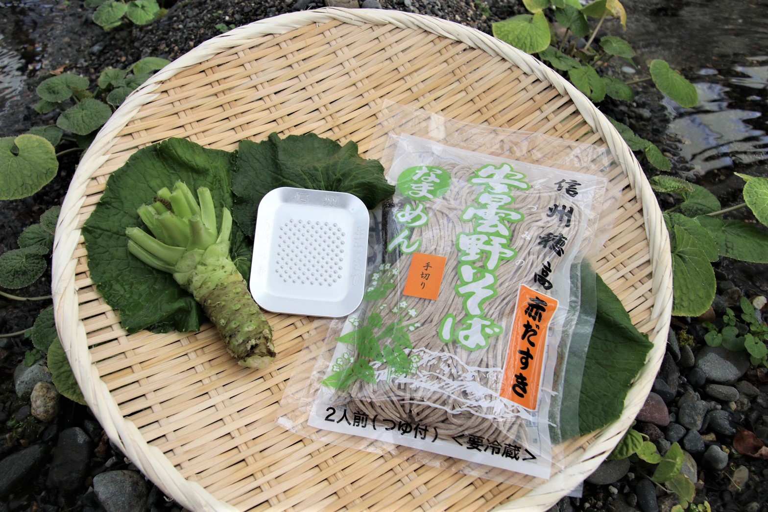 【ふるさと納税】藤屋わさび農園　生わさびとそばセット【生わさび 山葵 ワサビ 辛味 蕎麦 ソバ 生そば おろし金 卸金 下ろし金 水 名水 香り 信州 長野県 安曇野 安曇野市】