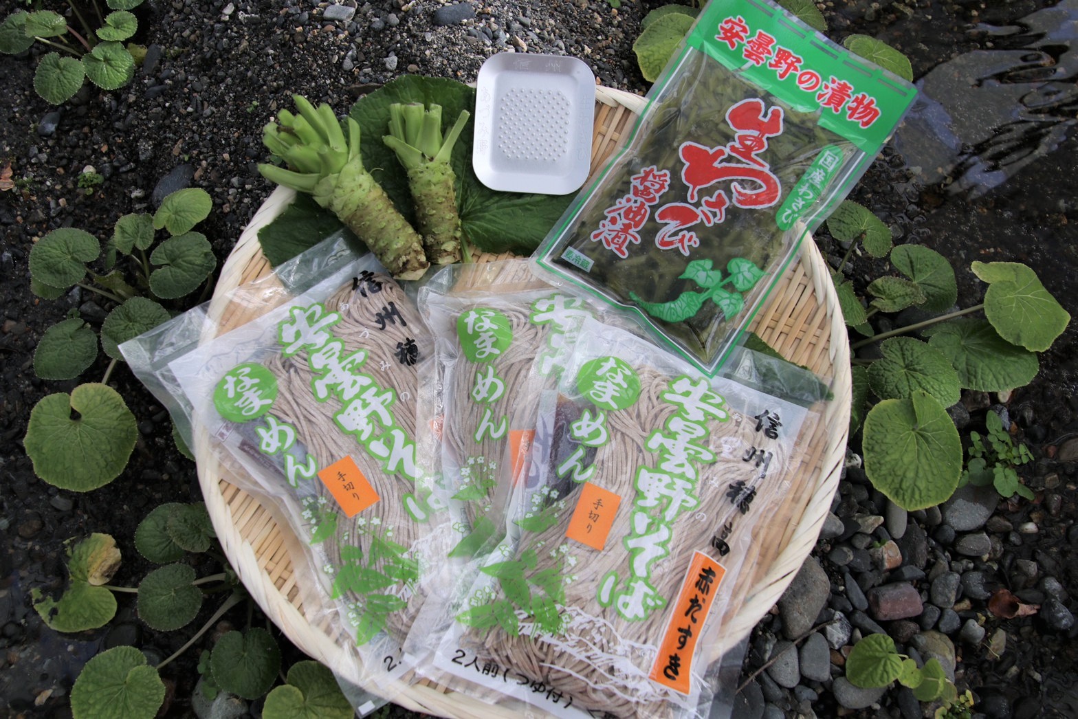 【ふるさと納税】藤屋わさび農園　【特選】生わさびとそばセット【生わさび 山葵 ワサビ 蕎麦 ソバ 葉わさび 醤油漬け 漬物 おろし金 卸金 下ろし金 信州 長野県 安曇野 安曇野市】