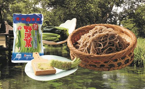 ✨ご注文後に収穫！生わさび 1kg✨ 安曇野産 生わさび わさび 茎付きわさび ✨ご注文後に収穫！生わさび 1kg✨ 安曇野産 生わさび わさび 茎付き