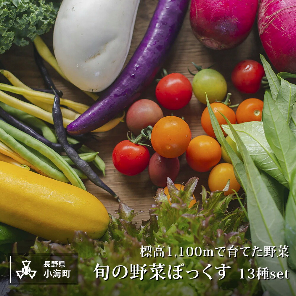 【ふるさと納税】あとくら農園 旬の野菜ぼっくす13種セット| 野菜 新鮮 旬 新鮮 高原野菜 根菜 【 2026年発送 先行予約 】｜長野県小海町