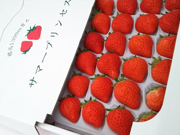 【ふるさと納税】【先行予約R7年 7月以降順次発送】希少な夏秋いちご『サマープリンセス』みやむら農園「サマープリンセス（2パック）」