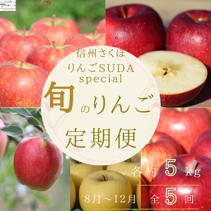 【ふるさと納税】●予約便・2025年発送　定期便全5回　旬のりんご５kg入り贈答箱【限定50箱】（RS-T501）