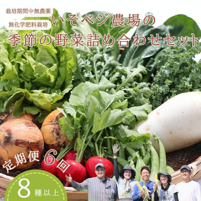 【ふるさと納税】●先行受付・2025年発送　いそベジ農場の季節の野菜詰め合わせセット　定期便６回（IV-T503）
