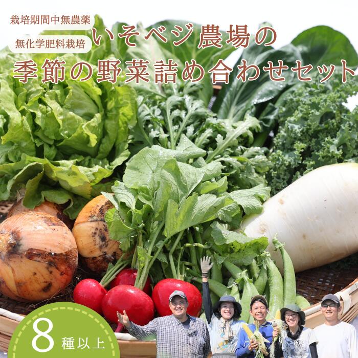 【ふるさと納税】無農薬無化学肥料栽培　いそベジ農場の季節の野菜詰め合わせセット（８品詰め合わせ）[IV-101]