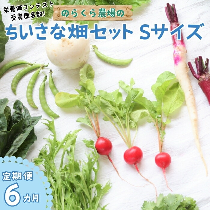 【ふるさと納税】●先行受付・2025年発送　定期便6カ月　有機野菜ちいさな畑セット（Sサイズ　１～２人前）（NK-T521）