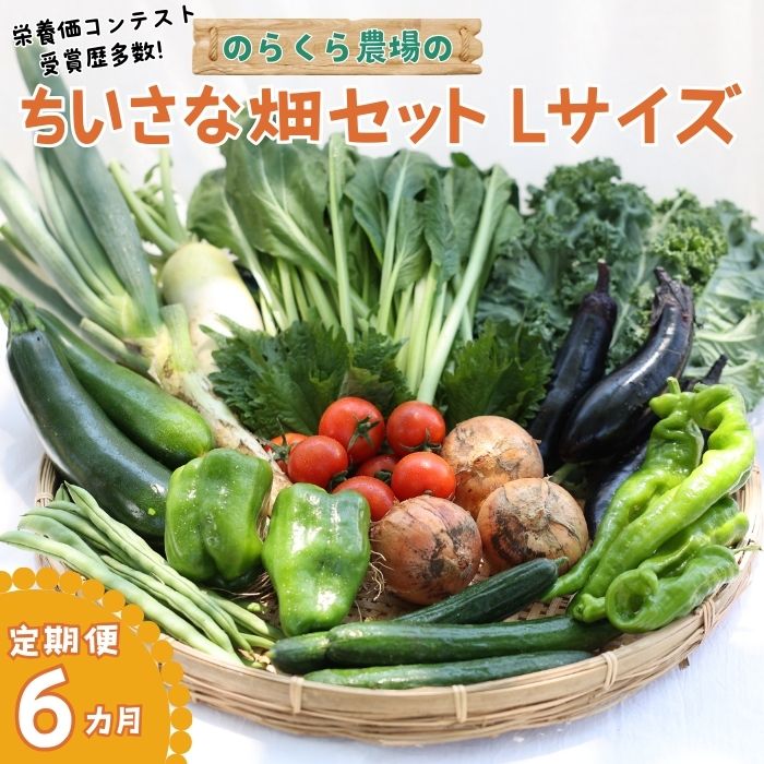 【ふるさと納税】●先行受付・2025年発送　定期便６カ月　ちいさな畑セット（Lサイズ　３～４人前）（NK-T508）