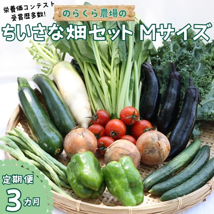 【ふるさと納税】●先行受付・2025年発送　定期便3カ月　有機野菜ちいさな畑セット（Mサイズ　２～３人前）（NK-T502）