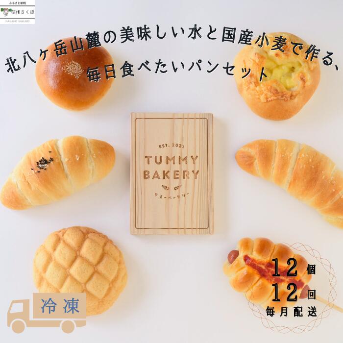 【ふるさと納税】毎日食べたいパンセット　12カ月定期便〔TB-T506〕