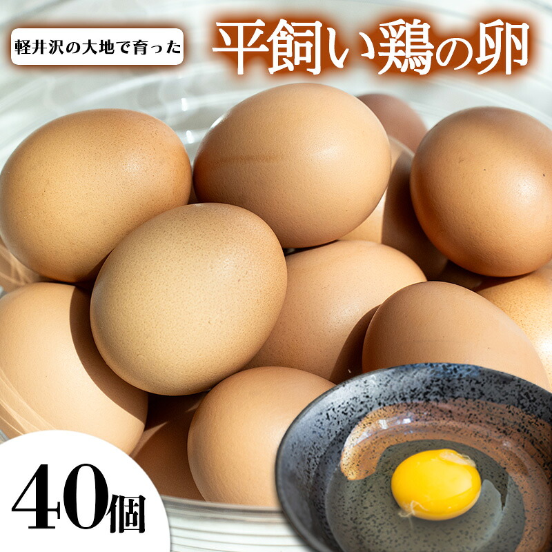 【ふるさと納税】卵　40個