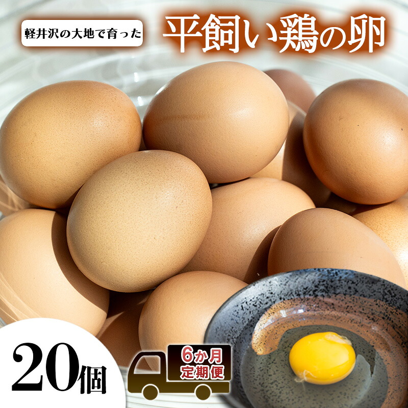 【ふるさと納税】卵20個 6か月定期便 |長野県軽井沢町