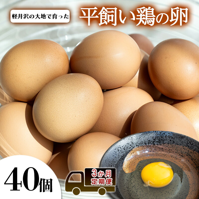 【ふるさと納税】卵40個　3か月定期便