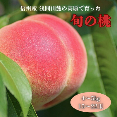 【ふるさと納税】長野県浅間山麓 御代田町の桃(4~5kg)【配送不可地域:離島・北海道・沖縄県】【1754264】|長野県御代田町