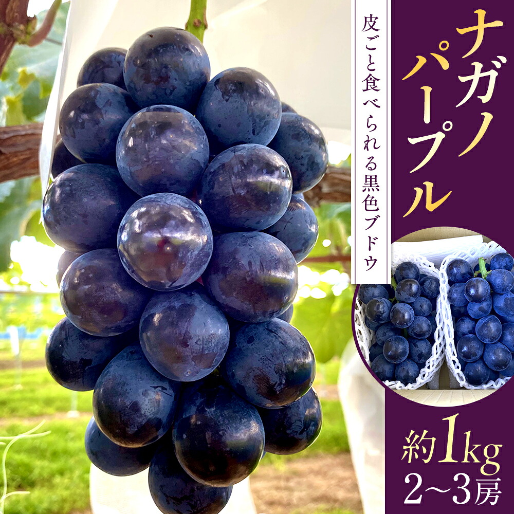 【ふるさと納税】ナガノパープル(約1kg、2～3房) | 果物 フルーツ ぶどう ブドウ 葡萄 ナガノパープル ふるさと 信州 長野県 長野 立科町｜長野県立科町