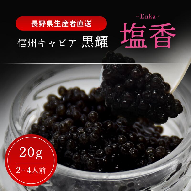 【ふるさと納税】黒耀 信州キャビア 塩香 -Enka- 20g 黒耀 信州キャビア 塩香20g 入瓶 キャビアスプーン付 化粧箱入り 長野県製造 冷凍生キャビア キャビア 生キャビア 生 スプーン付き 信州 長野県｜長野県長和町