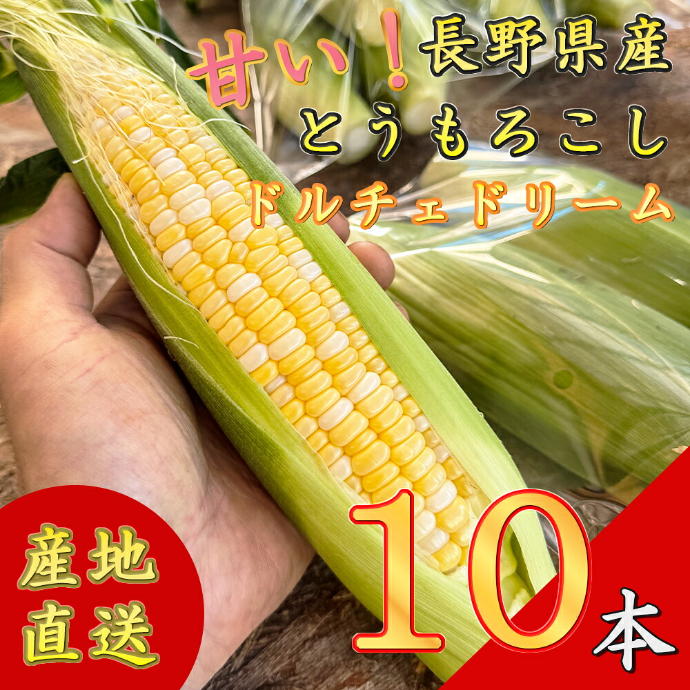 【ふるさと納税】【先行予約】【期間限定】長野県長和町産　黒耀水育ちのあまいとうもろこし 人気品種「ドルチェドリーム」10本入り とうもろこし セット 冷蔵便 新鮮スイートコーン4kg 朝採れトウモロコシ　お届け：2026年8月7日～2026年8月31日｜長野県長和町