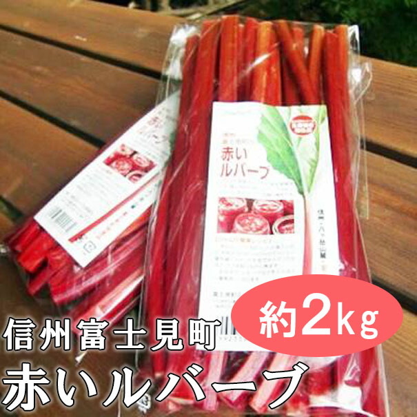 【ふるさと納税】＜25年発送先行予約＞ 富士見町の赤いルバーブ約2kg（500g×4袋） 2025年6月上旬より順次発送　【 ルバーブ 赤いルバーブ 富士見町ルバーブ生産組合 野菜 健康野菜 ジャム 美肌効果 生活習慣病予防 植物繊維 アントシアニン カリウム カルシウム 】