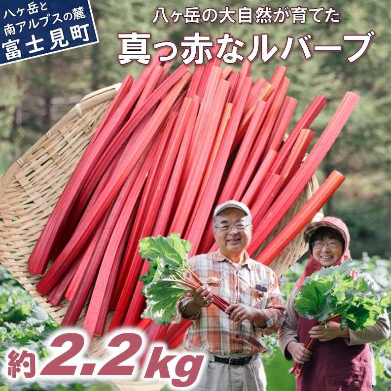 【ふるさと納税】＜25年発送先行予約＞ 赤いルバーブ・フレッシュ  約2.2kg ※配送不可地域あり 野菜 ルバーブ 西洋野菜 食物繊維 カリウム カルシウム ビタミンC アントシアニン 美容 かぼちゃん農園 お届け：2025年6月頃～10月下旬