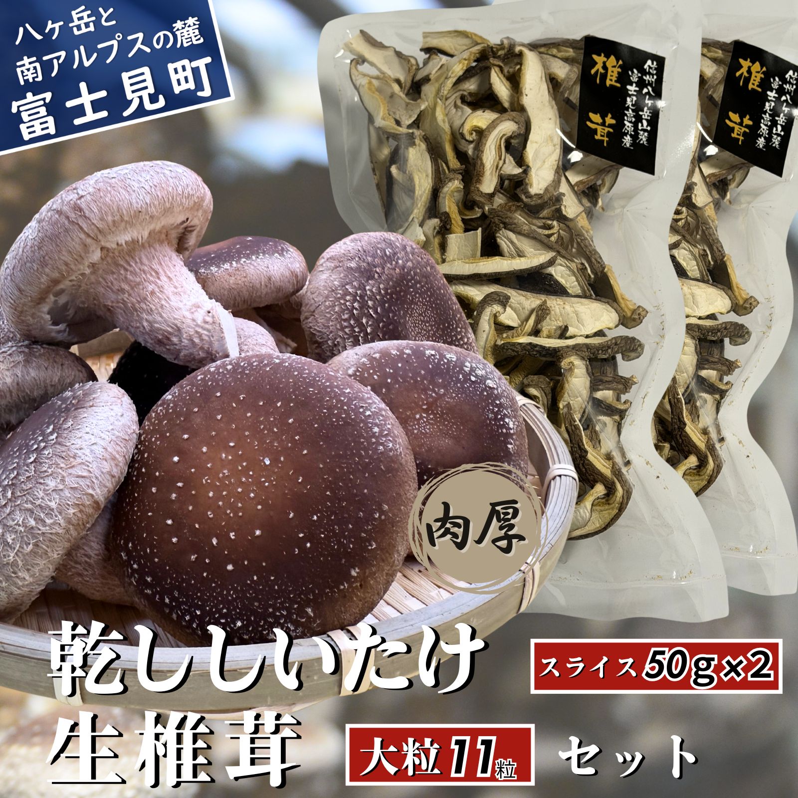 【ふるさと納税】 肉厚 大粒 生しいたけ 11粒+乾ししいたけスライス 50g×2 八ヶ岳山麓育ち 国産 朝採れ 安心安全 農薬不使用 ハウス栽培 芳醇な香り 椎茸 信州 送料無料 【発送時期:9月~翌年5月の期間】|長野県富士見町
