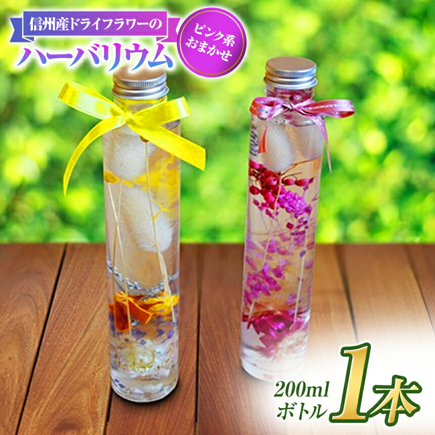 【ふるさと納税】【手付け金】 信州産 素っ気ない御花 の ハーＢａ 1本 さくら色系 おまかせ | 素っ気ない御花 ハーＢａ さくら色 花 信州 八ヶ岳 長野県 諏訪郡 原村