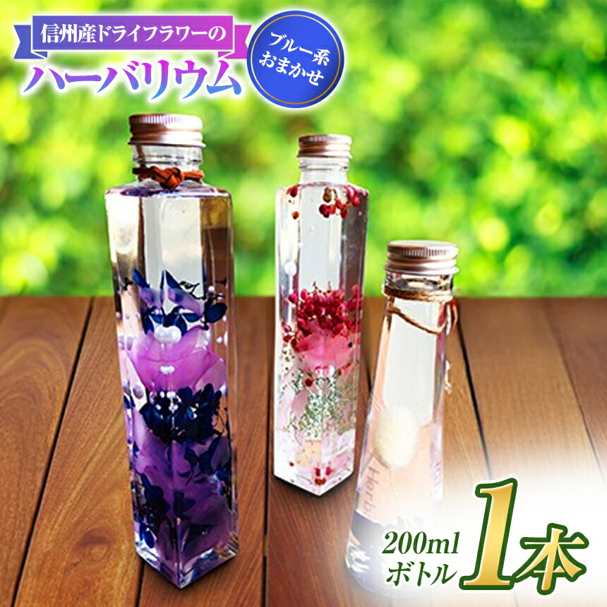 【ふるさと納税】【手付け金】 信州産 素っ気ない御花 の ハーＢａ 1本 青碧系 おまかせ | 素っ気ない御花 ハーＢａ 青碧 青 花 信州 八ヶ岳 長野県 諏訪郡 原村