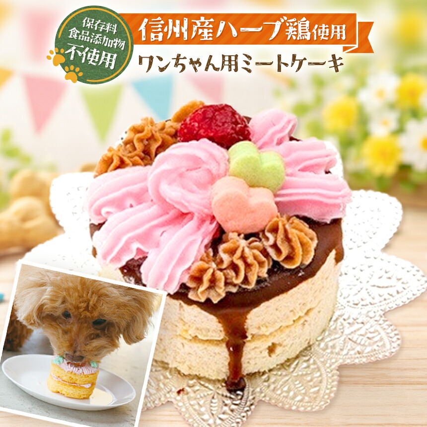 【ふるさと納税】愛玩動物ボンネット 祝い事 飾りもの 肉類 西洋菓子 ( 犬用 )| 犬 お兄ちゃん 差し上げ物 生まれ落ちる日 信州産 草本鶏 肉 手作り 保護すること料不当てはめる 封鎖 信州 八ヶ岳 長野県 諏訪郡 原村