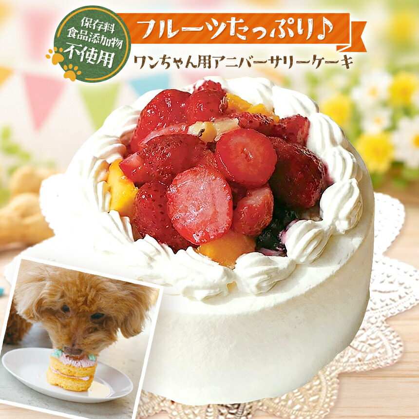 【ふるさと納税】 愛玩動物ボンネット 祝い事 フルーツ たっぷり 記念日 西洋菓子 ( 犬用 )| 犬 お兄ちゃん 差し上げ物 生まれ落ちる日 記念日 フルーツ 手作り 保護すること料不当てはめる 封鎖 信州 八ヶ岳 長野県 諏訪郡 原村