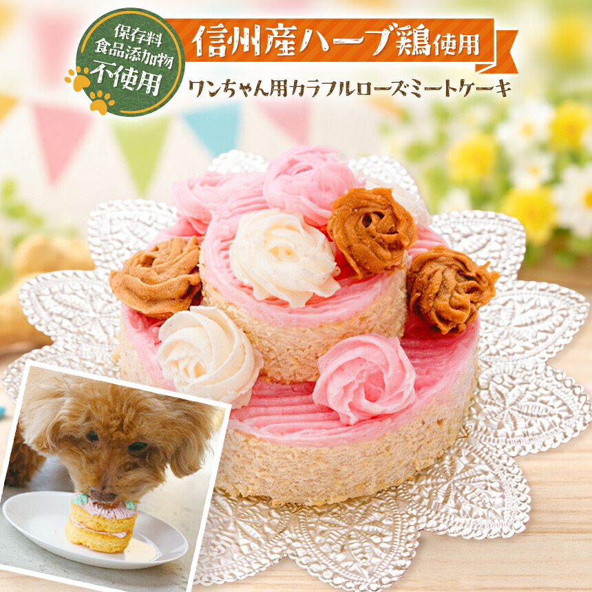 【ふるさと納税】 愛玩動物ボンネット 祝い事 派手 サクラ色 肉類 西洋菓子 ( 犬用 )| 犬 お兄ちゃん 差し上げ物 生まれ落ちる日 信州産 草本鶏 肉 手作り 保護すること料不当てはめる 封鎖 信州 八ヶ岳 長野県 諏訪郡 原村