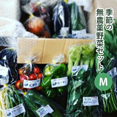 【ふるさと納税】2025年度先行予約【種to菜園】季節の無農薬野菜　Ｍセット やさい 詰め合わせ 10種類前後 2～3人前 食材 国産 長野県産 原村産 産地直送 　お届け：2025年8月上旬～2025年10月末