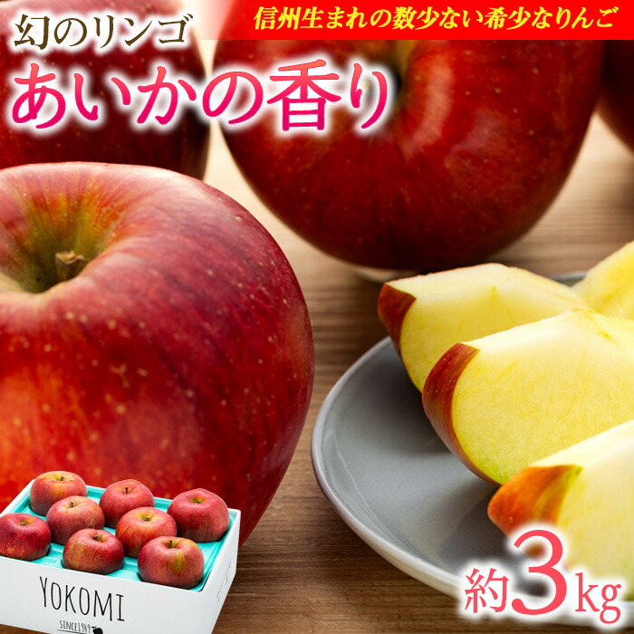 【ふるさと納税】 りんご あいかの香り 約3kg セット 2025年 令和7年度発送分 リンゴ 林檎 長野 フルーツ 果物 信州産 長野県産 特産 産地直送 おすすめ 　お届け：2025年11月中旬～2026年1月ごろ
