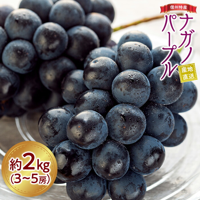 【ふるさと納税】ぶどう ナガノパープル 2kg 3～5房 葡萄 ブドウ 長野パープル 果物 くだもの フルーツ 旬の果物 旬のフルーツ 信州 長野 長野県 ※着日指定不可 ※オンライン決済限定 　お届け：2025年9月上旬～下旬頃