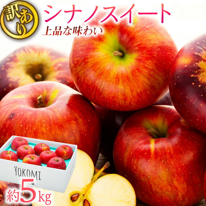 【ふるさと納税】 訳あり りんご シナノスイート 約5kg 2025年 令和7年度発送分 リンゴ 林檎 長野 フルーツ 果物 信州産 長野県産 特産 産地直送 家庭用 おすすめ 　お届け：2025年10月中旬～11月中旬ごろ