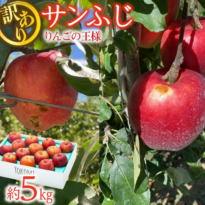 【ふるさと納税】 訳あり りんご さんふじ 約5kg 2025年 令和7年度発送分 リンゴ 林檎 長野 フルーツ 果物 信州産 長野県産 特産 産地直送 家庭用 おすすめ 　お届け：2025年11月下旬～2026年1月ごろ