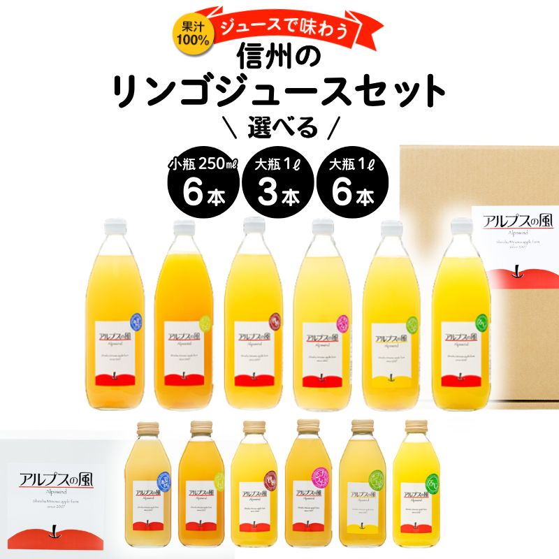 【ふるさと納税】果汁100%ジュースで味わう 爽やか酸味が素敵な品種 リンゴジュース 小瓶 6本 セット 詰め合わせ ジュースで味わう信州のリンゴ 酸味爽やか りんご 林檎 アップル アップルジュース 無添加 飲料 飲料類 甘い 濃厚 長野 長野県