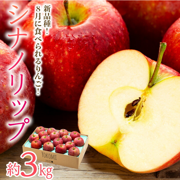 【ふるさと納税】 りんご シナノリップ 約3kg 2025年 令和7年度発送分 リンゴ 林檎 長野 フルーツ 果物 信州産 長野県産 特産 産地直送 おすすめ デザート おやつ 　お届け：2025年8月中旬～9月中旬ごろ